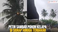 VIDEO: Petir Sambar Pohon Kelapa di Sidrap hingga Terbakar, 1 Orang Dikabarkan Meninggal