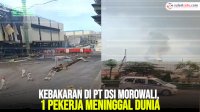 VIDEO: Kebakaran di PT DSI Morowali, 1 Pekerja Meninggal Dunia