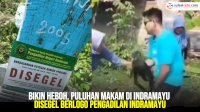 VIDEO: Bikin Heboh, Puluhan Makam di Indramayu Disegel Berlogo Pengadilan Indramayu