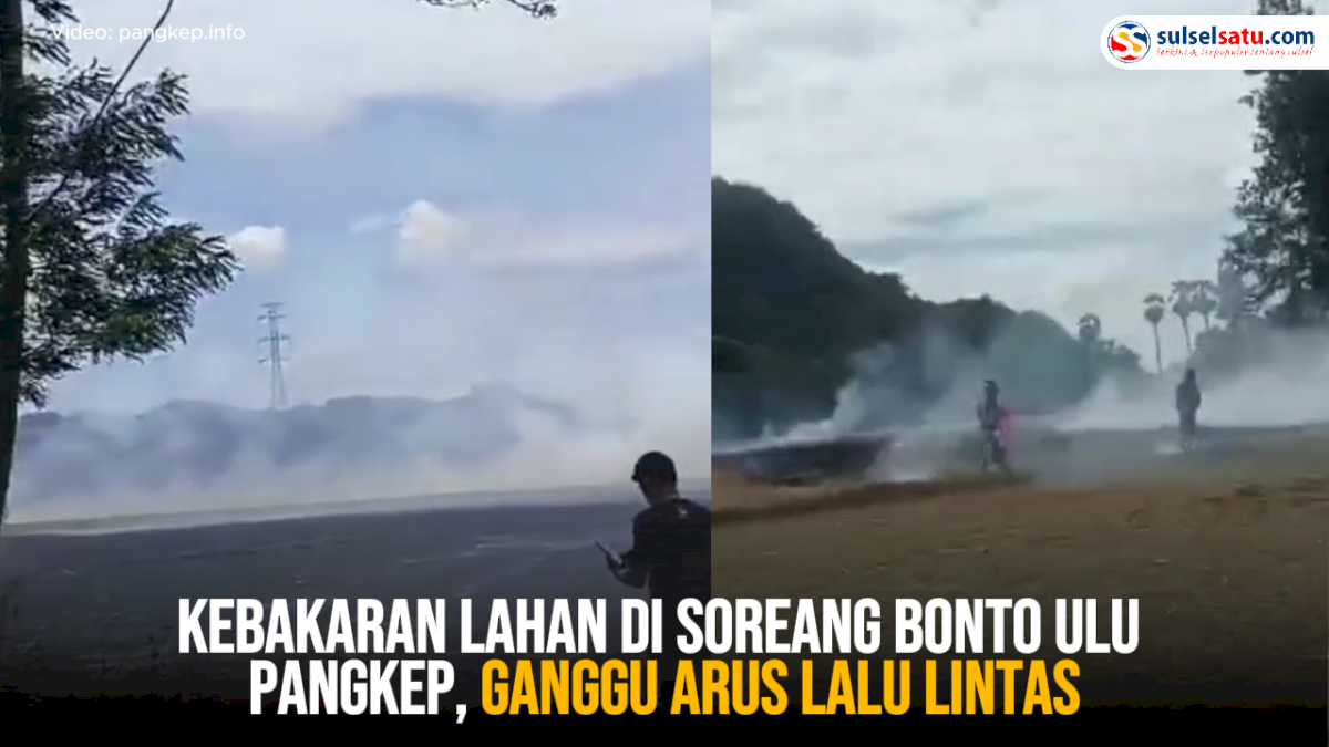 VIDEO: Kebakaran Lahan di Soreang Bonto Ulu Pangkep, Ganggu Arus Lalu Lintas