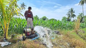 Dilanda El Nino, Mesin Air Konversi LPG Hijaukan Sawah Petani