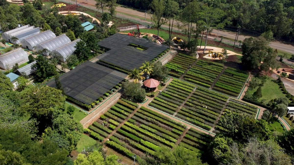 Solusi Strategis PT Vale Hadapi Tantangan di Industri Pertambangan