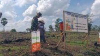 Komitmen Dukung Ketahanan Pangan, Babinsa Koramil 1425-02/Bangkala Bantu Warga Tanam Jagung