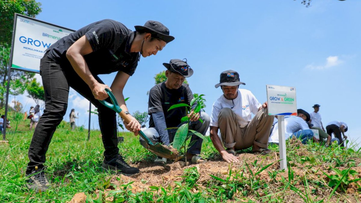 Kelompok Tani dan BRI Kolaborasi Hijau Pulihkan Hutan Bekas Tambang