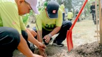 Bumi Karsa Tuntaskan Penanaman 5.500 Pohon di Sulawesi Hingga Jawa dan Sumatera