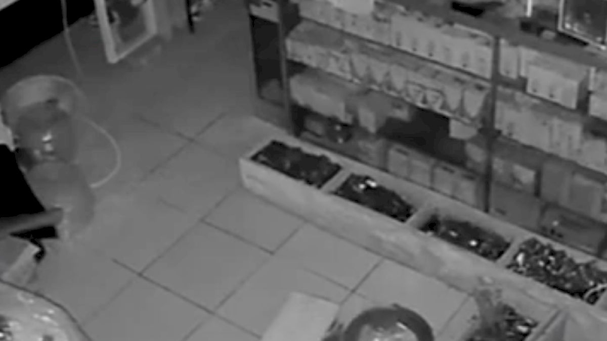 VIDEO: Toko Bangunan di Gowa Dibobol Maling, Mesin Pompa Air dan Puluhan Juta Rupiah Raib