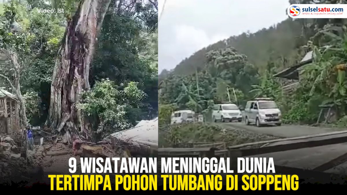 VIDEO: 9 Wisatawan Meninggal Dunia Tertimpa Pohon Tumbang di Soppeng