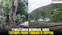VIDEO: 9 Wisatawan Meninggal Dunia Tertimpa Pohon Tumbang di Soppeng