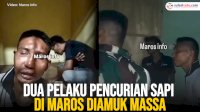 VIDEO: Dua Pelaku Pencurian Sapi di Maros Diamuk Massa