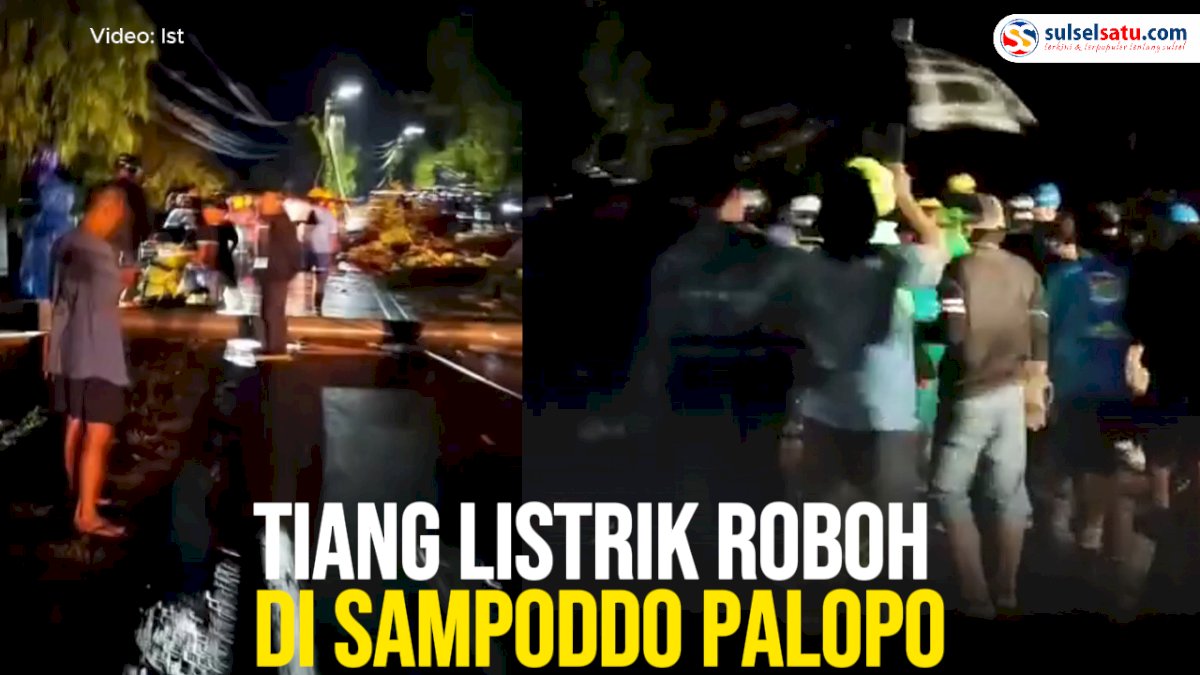 VIDEO: Tiang Listrik Roboh di Sampoddo Palopo