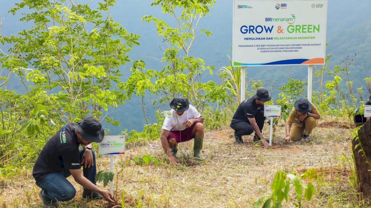 Peringati Hari Menanam Pohon, BRI Tanam 5 Ribu Bibit Pohon Produktif di Desa Kutuh Bali