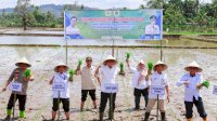 Bupati Barru Ajak Staf Ahli Menteri Pertanian Tanam Padi