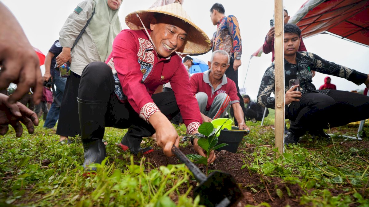 Sulsel Gencar Rehabilitasi Hutan dan Lahan, Fokus Pada Pemulihan Lingkungan dan Peningkatan Kualitas Hidup