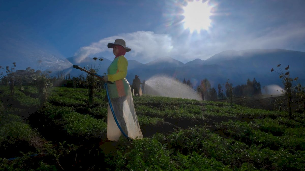 Lewat Pembiayaan dan Pemberdayaan, BRI Sukseskan Program Makan Bergizi Gratis