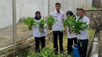 Kakanwil Taufiqurrakhman Apresiasi Panen Sawi, Kangkung Hingga Terong di Rutan Sengkang