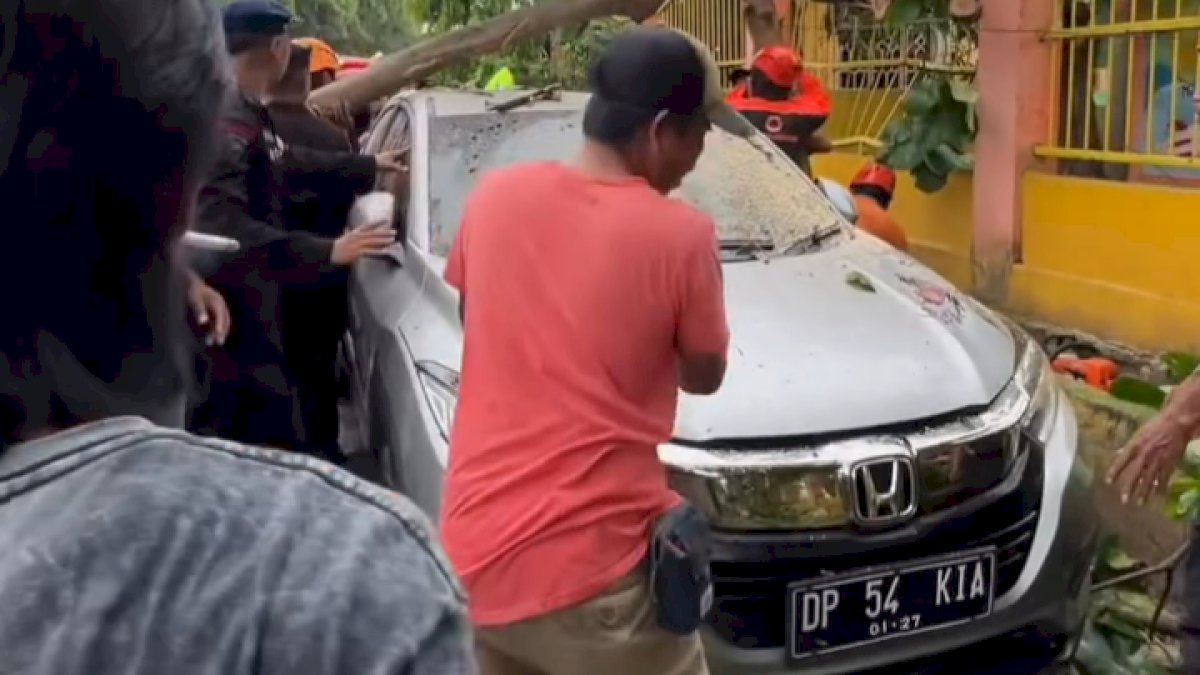 VIDEO: Pohon Tumbang Timpa Mobil di Parepare, Beruntung Tidak Ada Korban Jiwa