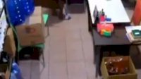 VIDEO: Terekam CCTV, Aksi Pencurian di Sebuah Toko di Monginsidi Baru