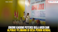 VIDEO: Jokowi Kagumi Potensi Gula Aren dan Alpukat Pluwang di Desa Peron Kendal