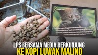 VIDEO: LPS Bersama Media Berkunjung ke Kopi Luwak Malino
