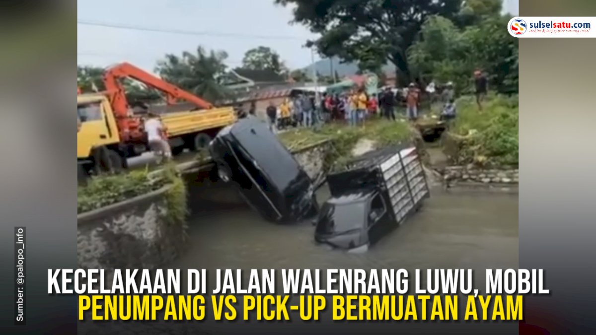 VIDEO: Kecelakaan di Jalan Walenrang Luwu, Mobil Penumpang vs Pick-Up Bermuatan Ayam