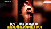 VIDEO: Bus Tujuan Sorowako Terbakar di Anabanua Wajo