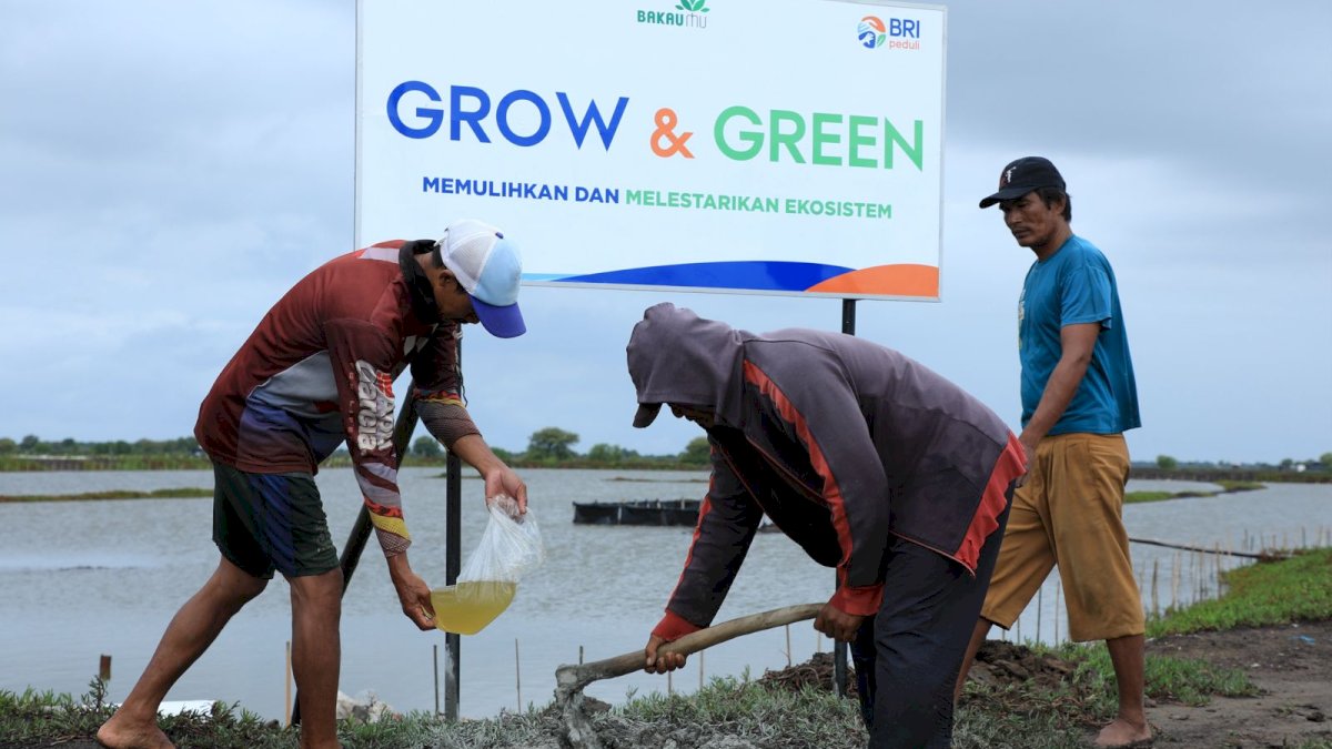 BRI Menanam Upaya Nyata Bantu Pulihkan Ekosistem Lingkungan dan Dorong Pemberdayaan Ekonomi Masyarakat