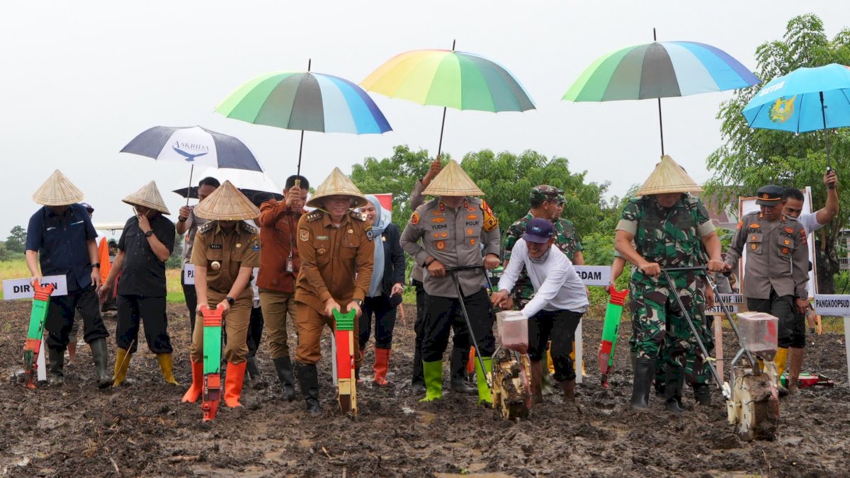 Penanaman Jagung Serentak di Jeneponto, Prof Fadjry Targetkan 200 Ribu Hektare