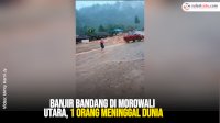 VIDEO: Banjir Bandang di Morowali Utara, 1 Orang Meninggal Dunia
