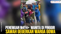 VIDEO: Penemuan Mayat Wanita di Pinggir Sawah Gegerkan Warga Gowa