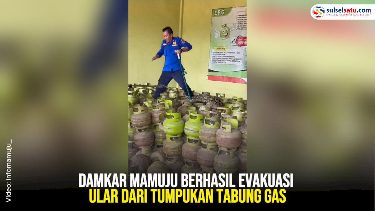VIDEO: Damkar Mamuju Berhasil Evakuasi Ular dari Tumpukan Tabung Gas