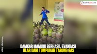 VIDEO: Damkar Mamuju Berhasil Evakuasi Ular dari Tumpukan Tabung Gas