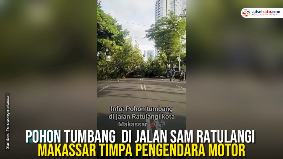 VIDEO: Pohon Tumbang di Jalan Sam Ratulangi Makassar Timpa Pengendara Motor