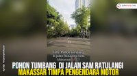 VIDEO: Pohon Tumbang di Jalan Sam Ratulangi Makassar Timpa Pengendara Motor