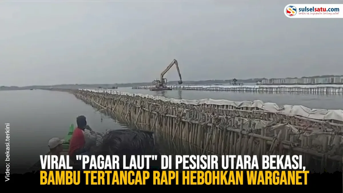 VIDEO: Viral “Pagar Laut” di Pesisir Utara Bekasi, Bambu Tertancap Rapi Hebohkan Warganet