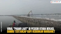 VIDEO: Viral “Pagar Laut” di Pesisir Utara Bekasi, Bambu Tertancap Rapi Hebohkan Warganet