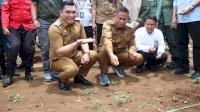 Tingkatkan Produktivitas Lahan, Pj Gubernur Sulsel Bersama Pj Bupati Takalar Lakukan Penanaman Serentak Agroforestri Pangan