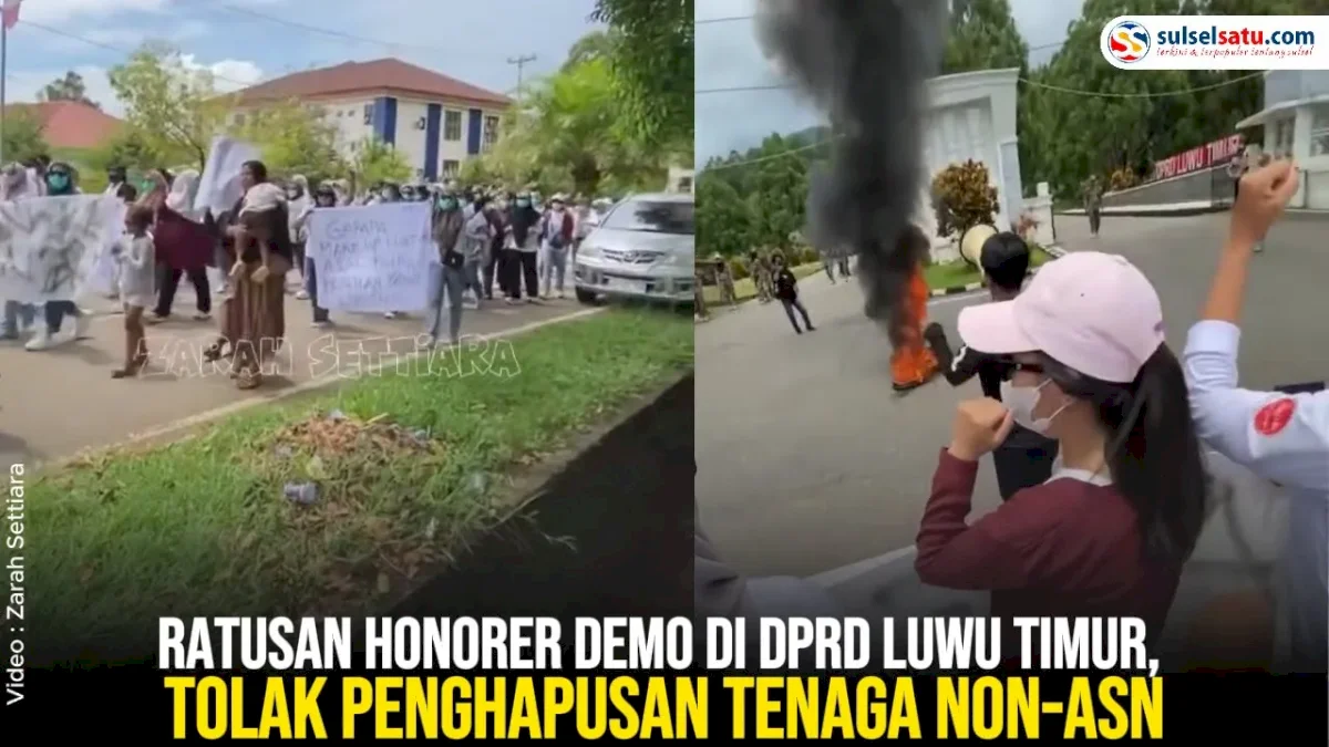 VIDEO: Ratusan Honorer Demo di DPRD Luwu Timur, Tolak Penghapusan Tenaga Non-ASN