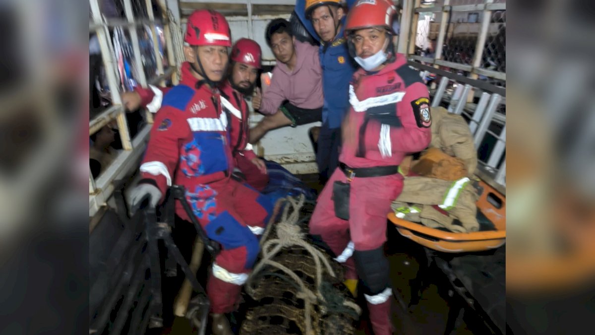 Buaya 4,1 Meter Dievakuasi di Makassar, Diduga Masih Ada Buaya Lain