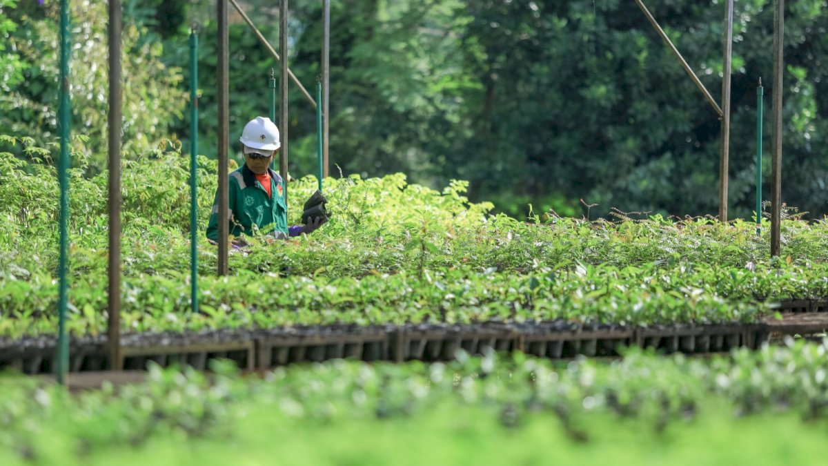 Komitmen Keberlanjutan PT Vale Indonesia Raih Penghargaan Asia Sustainability Reporting Awards ke-10