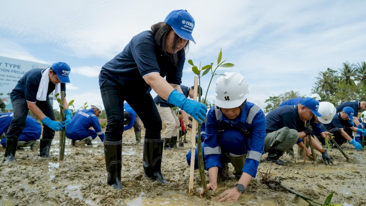 Kontribusi Melestarikan Lingkungan, Yamaha Motor Group Tanam Ratusan Ribu Mangrove di Indonesia