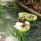 Bugis Waterpark Hadirkan Promo Holiventure Special July, Tiket Masuk Mulai Rp80 Ribu