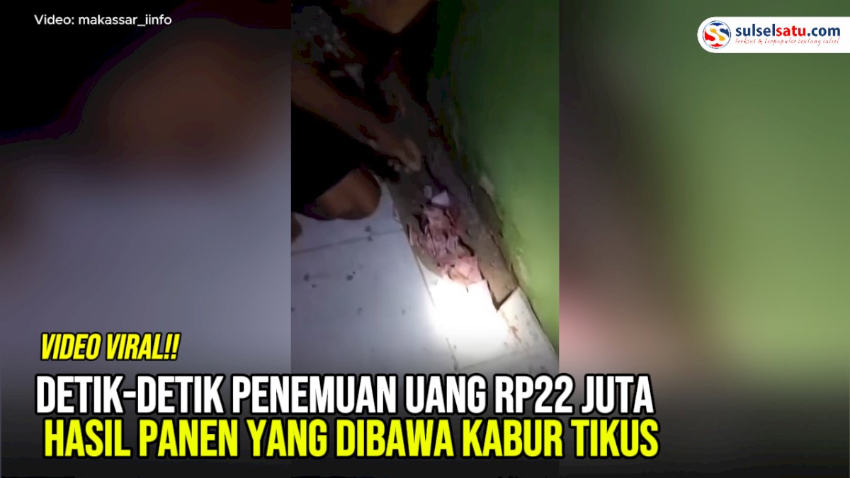 VIDEO: Detik-Detik Penemuan Uang Rp22 Juta Hasil Panen yang Dibawa Kabur Tikus
