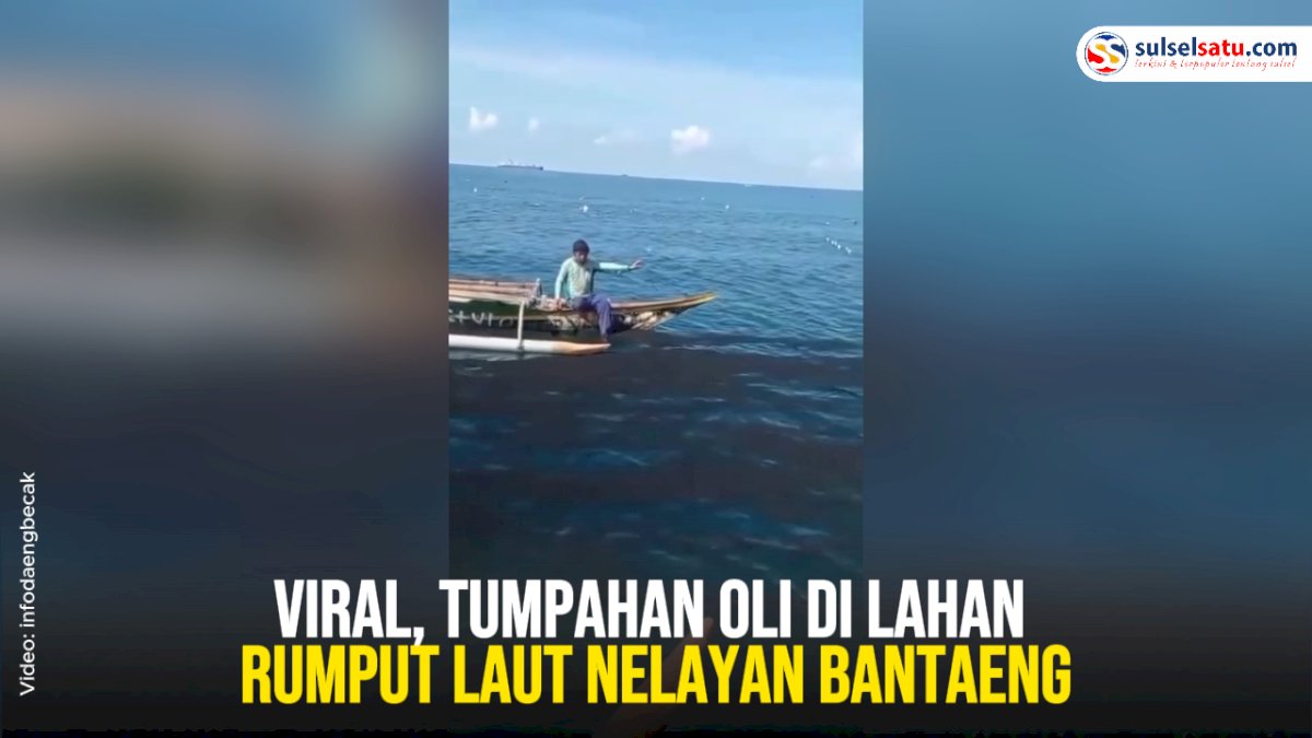 VIDEO: Viral, Tumpahan Oli di Lahan Rumput Laut Nelayan Bantaeng