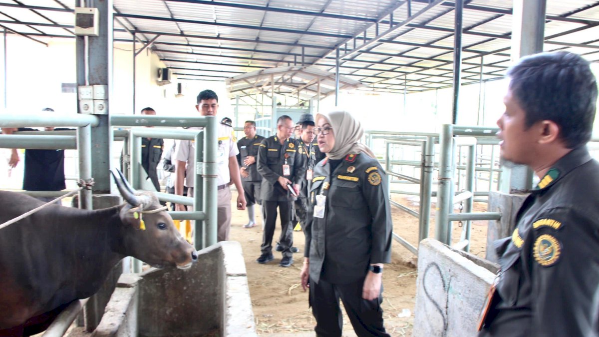 Jelang Iduladha, Karantina Sulsel Intensifkan Pengawasan Lalu Lintas Hewan Kurban