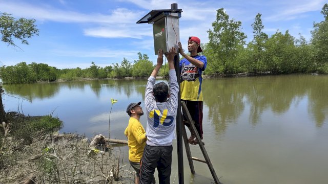 Indosat hadirkan program Jaya Raya di Ambon Dukung Pelestarian Lingkungan. Foto: Istimewa. 