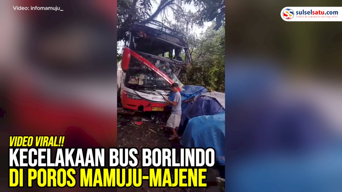 VIDEO: Kecelakaan Bus Borlindo di Poros Mamuju-Majene