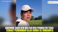 VIDEO: Gubernur Jabar Dedi Mulyadi Beri Peringatan Tegas Terkait Pengiriman Ular Kobra ke Rumahnya