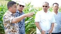 Gandeng PT KIMA dan PT KBI, Pemkot Parepare Genjot Pembangunan Kawasan Industri KIPAS