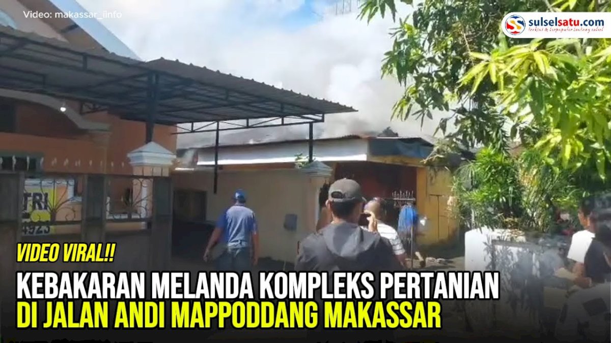VIDEO: Kebakaran Melanda Kompleks Pertanian di Jalan Andi Mappoddang Makassar
