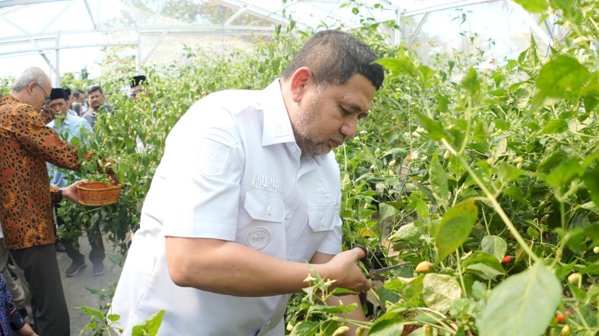 Pemkot Makassar Hadirkan Ketahanan Pangan dan Kemandirinya Ekonomi Lewat Urban Farming